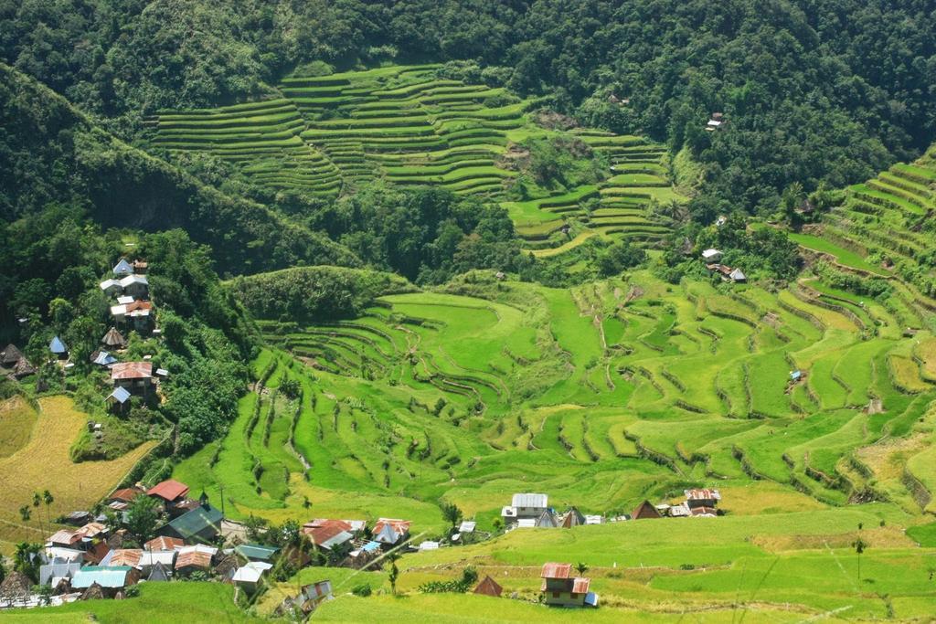 Hotel Batad Transient House Banaue Exterior foto