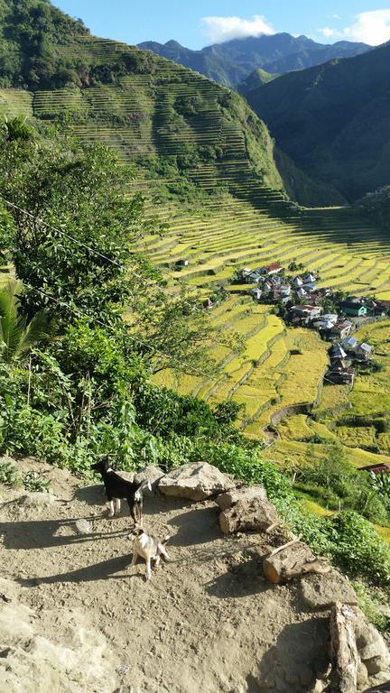 Hotel Batad Transient House Banaue Exterior foto