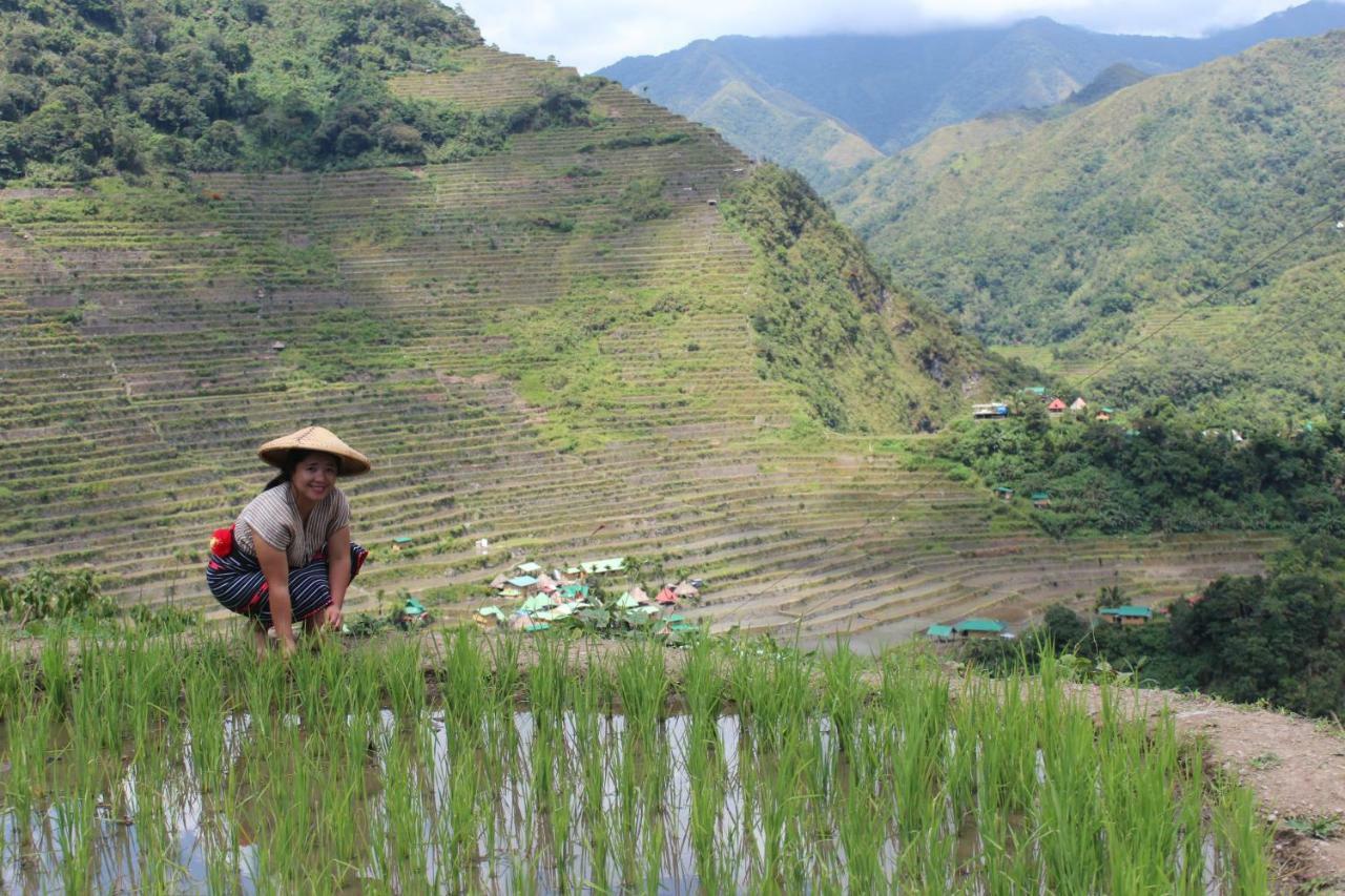 Hotel Batad Transient House Banaue Exterior foto